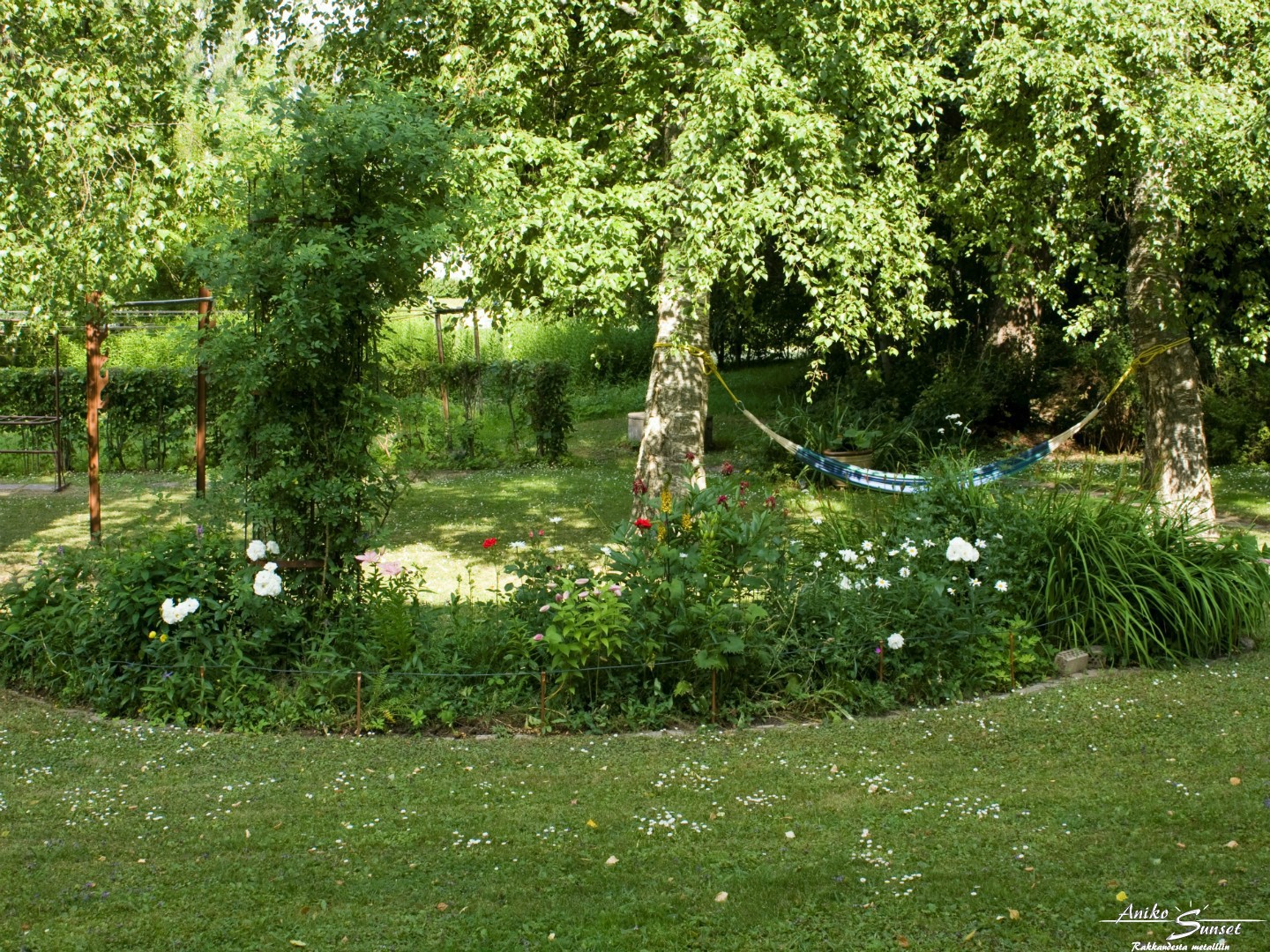 A perennial bed in the garden